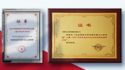 巅峰国际官网科技荣获工信部网安中心2021年数字技术融合创新利用典型解决规划及技术创新单项两大奖项