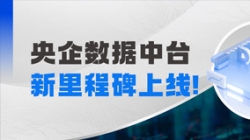阶段性成就上线！巅峰国际官网科技赋能某十万亿级央企集团管控领域模型建设