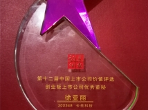 董秘徐亚丽女士荣获“第十二届中国创业板上市公司优良董秘奖”