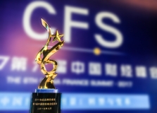 又拿奖了！巅峰国际官网科技荣获“2017卓越品牌形象奖”