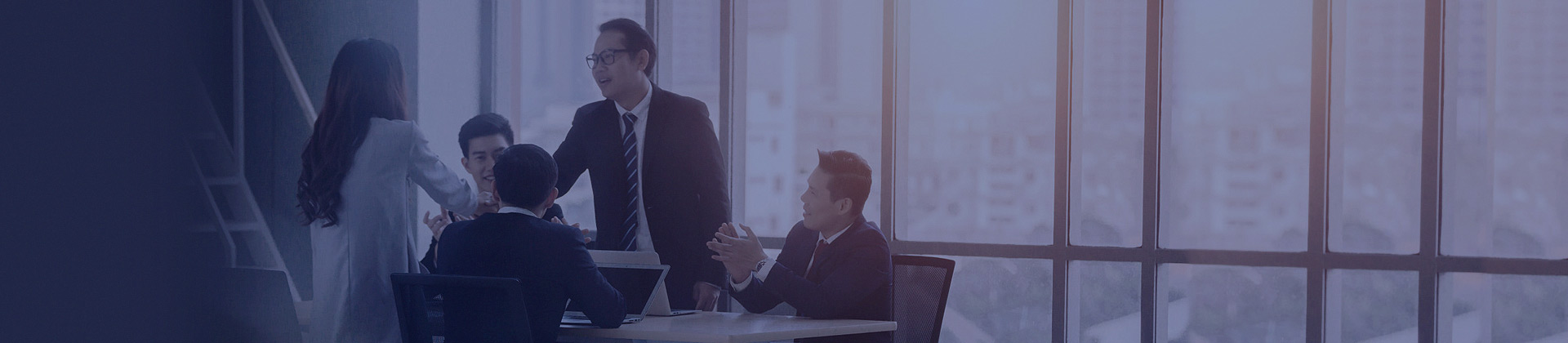 IT征询与规划服务