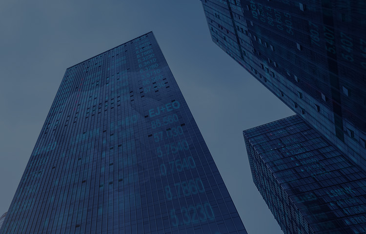 集团资金治理系统解决规划